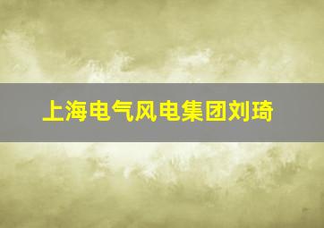 上海电气风电集团刘琦