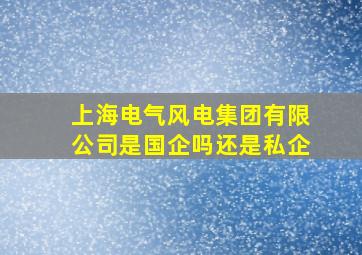 上海电气风电集团有限公司是国企吗还是私企