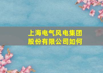 上海电气风电集团股份有限公司如何