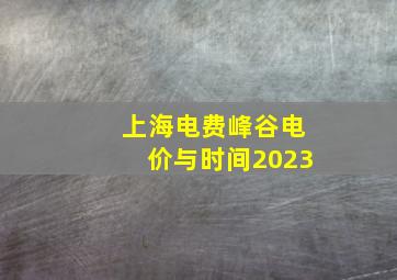 上海电费峰谷电价与时间2023