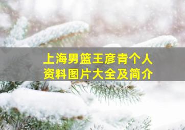 上海男篮王彦青个人资料图片大全及简介