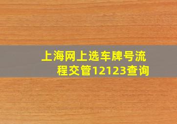 上海网上选车牌号流程交管12123查询