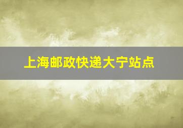 上海邮政快递大宁站点