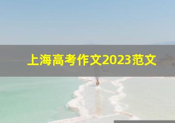 上海高考作文2023范文