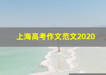 上海高考作文范文2020