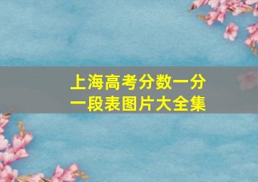 上海高考分数一分一段表图片大全集