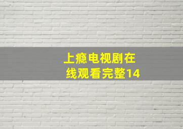 上瘾电视剧在线观看完整14