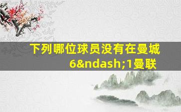 下列哪位球员没有在曼城6–1曼联