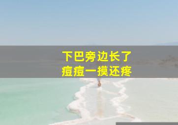 下巴旁边长了痘痘一摸还疼