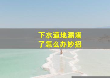 下水道地漏堵了怎么办妙招