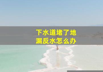 下水道堵了地漏反水怎么办