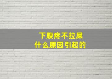 下腹疼不拉屎什么原因引起的