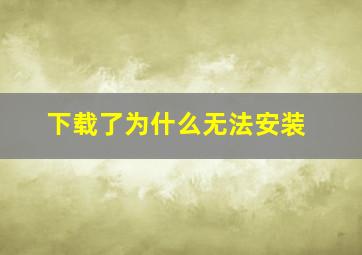 下载了为什么无法安装