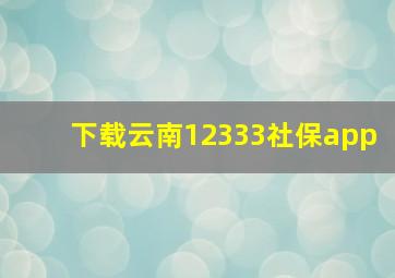 下载云南12333社保app