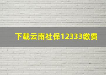 下载云南社保12333缴费