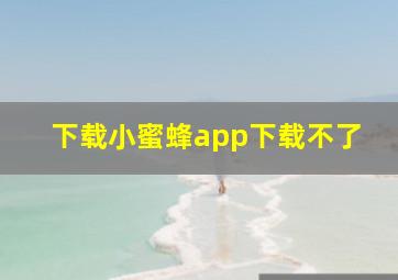 下载小蜜蜂app下载不了