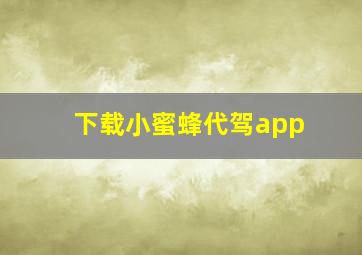 下载小蜜蜂代驾app