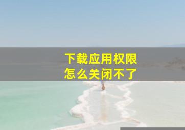 下载应用权限怎么关闭不了