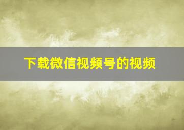 下载微信视频号的视频