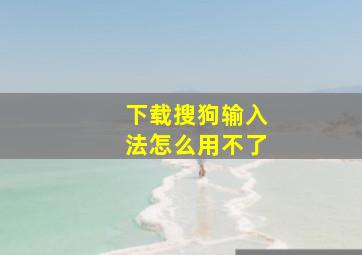 下载搜狗输入法怎么用不了