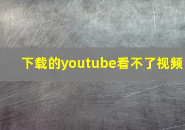 下载的youtube看不了视频