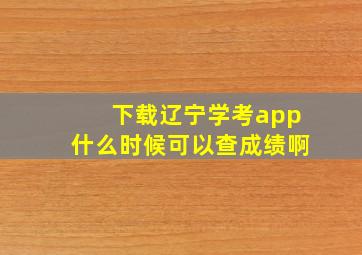 下载辽宁学考app什么时候可以查成绩啊