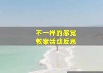 不一样的感觉教案活动反思