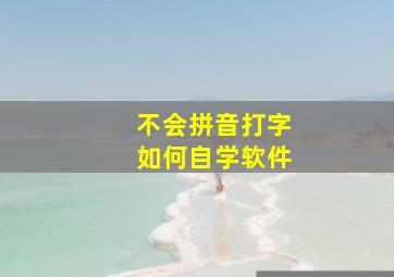 不会拼音打字如何自学软件