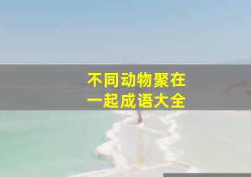 不同动物聚在一起成语大全