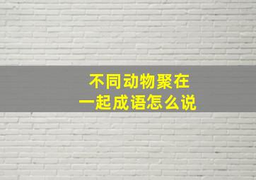 不同动物聚在一起成语怎么说