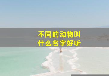 不同的动物叫什么名字好听