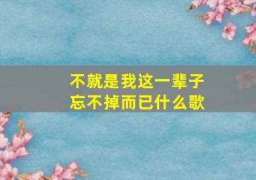 不就是我这一辈子忘不掉而已什么歌