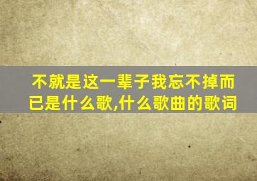 不就是这一辈子我忘不掉而已是什么歌,什么歌曲的歌词