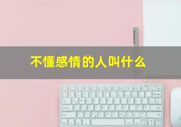 不懂感情的人叫什么