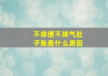 不排便不排气肚子胀是什么原因