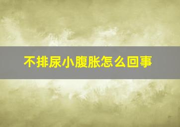 不排尿小腹胀怎么回事