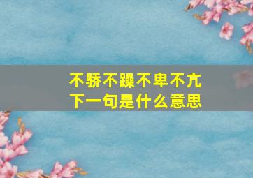 不骄不躁不卑不亢下一句是什么意思