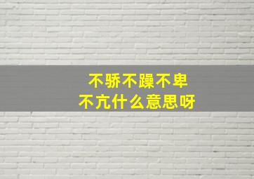 不骄不躁不卑不亢什么意思呀