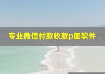 专业微信付款收款p图软件