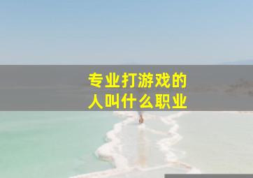 专业打游戏的人叫什么职业