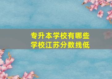 专升本学校有哪些学校江苏分数线低