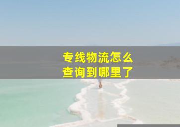 专线物流怎么查询到哪里了