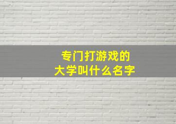 专门打游戏的大学叫什么名字