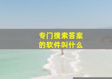 专门搜索答案的软件叫什么