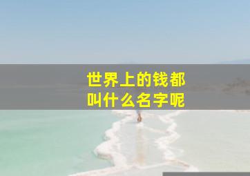 世界上的钱都叫什么名字呢