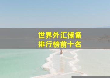 世界外汇储备排行榜前十名