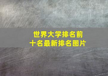 世界大学排名前十名最新排名图片