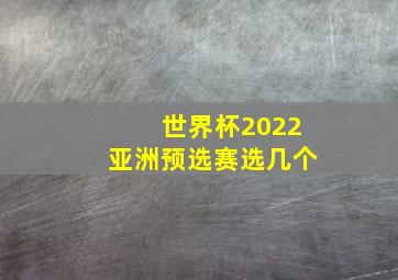 世界杯2022亚洲预选赛选几个