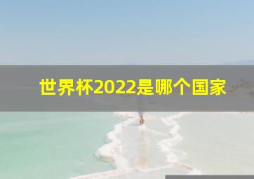 世界杯2022是哪个国家