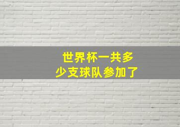 世界杯一共多少支球队参加了